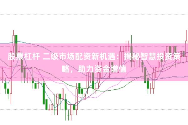股票杠杆 二级市场配资新机遇：揭秘智慧投资策略，助力资金增值