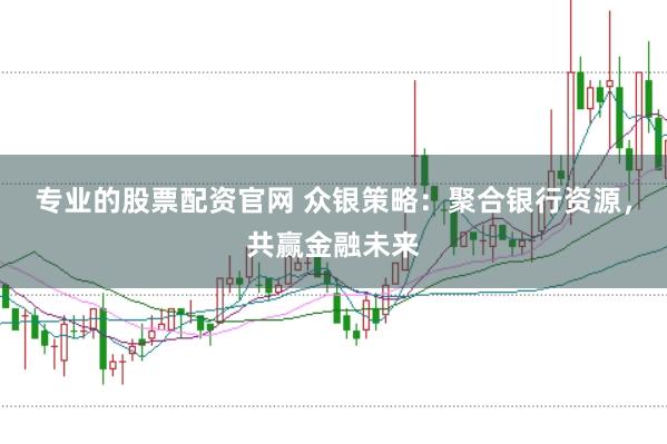 专业的股票配资官网 众银策略:聚合银行资源,共赢金融未来